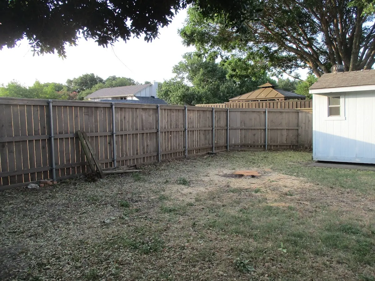Cleared yard after professional tree removal in Blue Grass